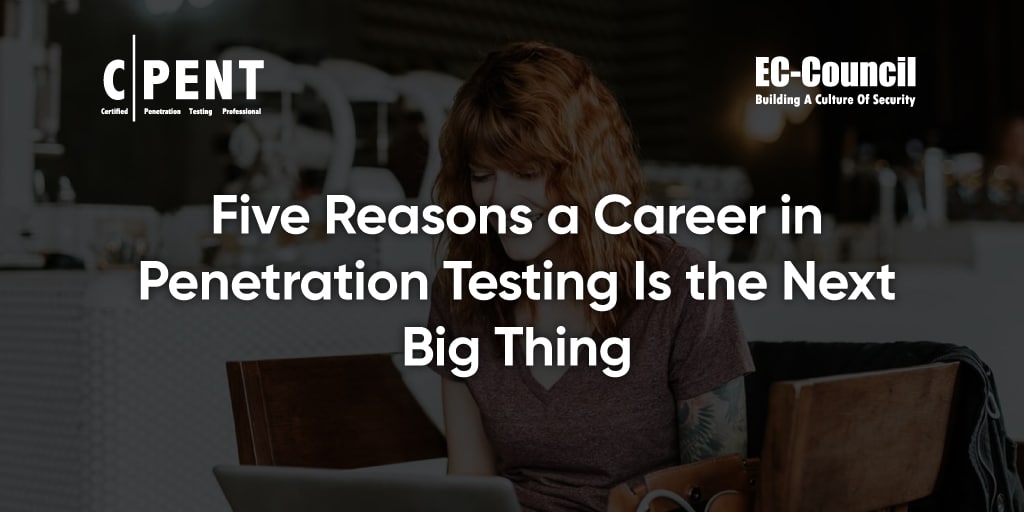 Why Choose a Career in Penetration Testing? ​