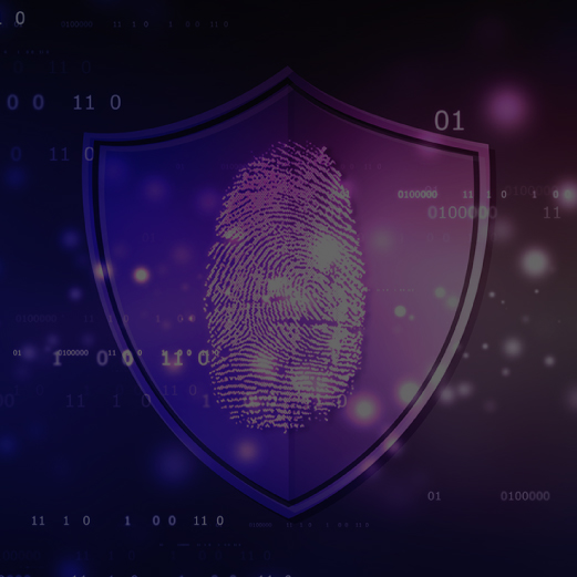 Why Are Cyber Forensics Professionals