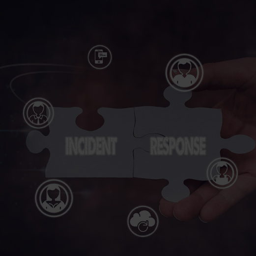 Qualities of Cyber Incident Response Experts