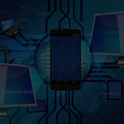 Network Penetration Testing