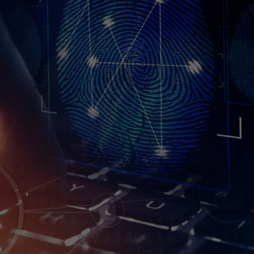 Digital Forensics 2.0: Innovations in Virtual Environment