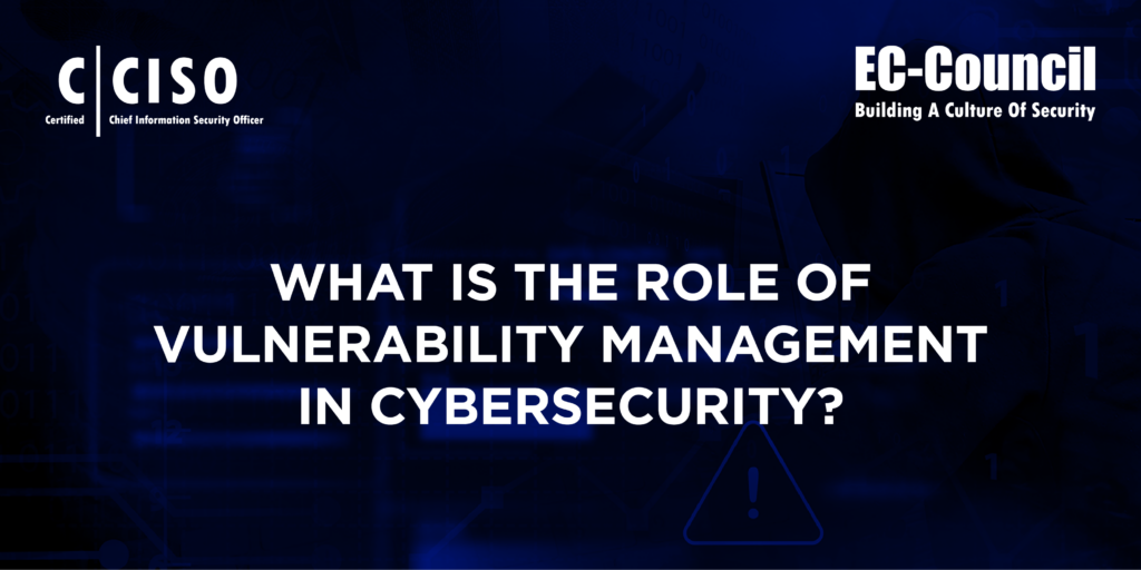 What is the Role of Vulnerability Management in Cybersecurity