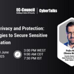 Data Privacy and Protection: Strategies to Secure Sensitive