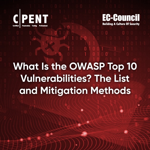 Guide to OWASP Top 10 Vulnerabilities and Mitigation Methods