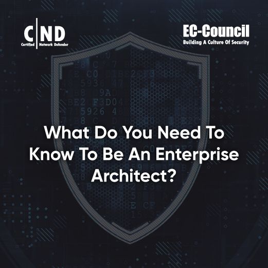 What does an enterprise architect do How to an Enterprise