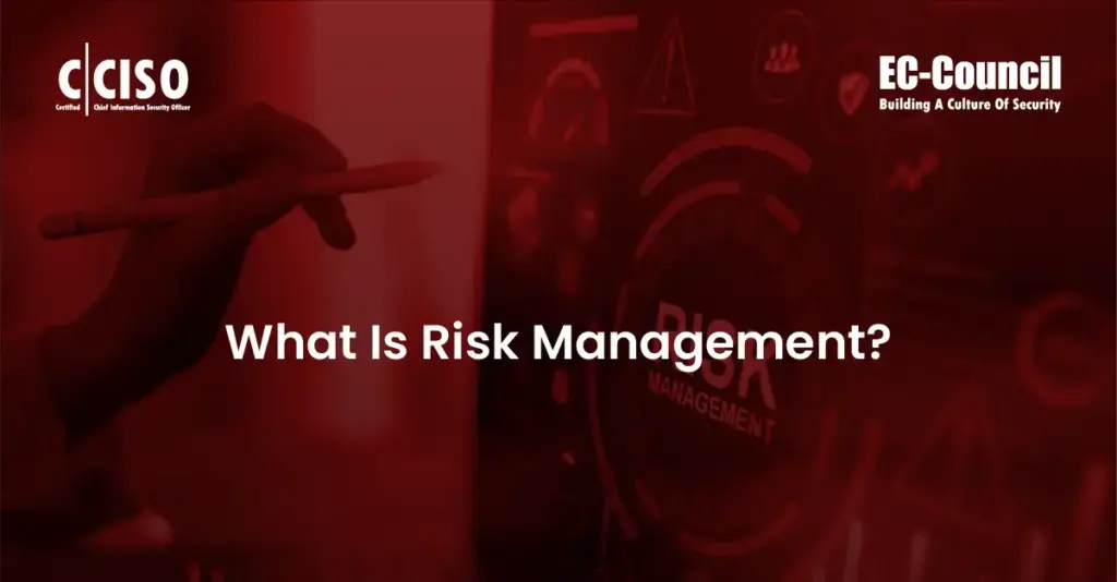 What is Risk Management?