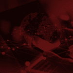 Vulnerability Management