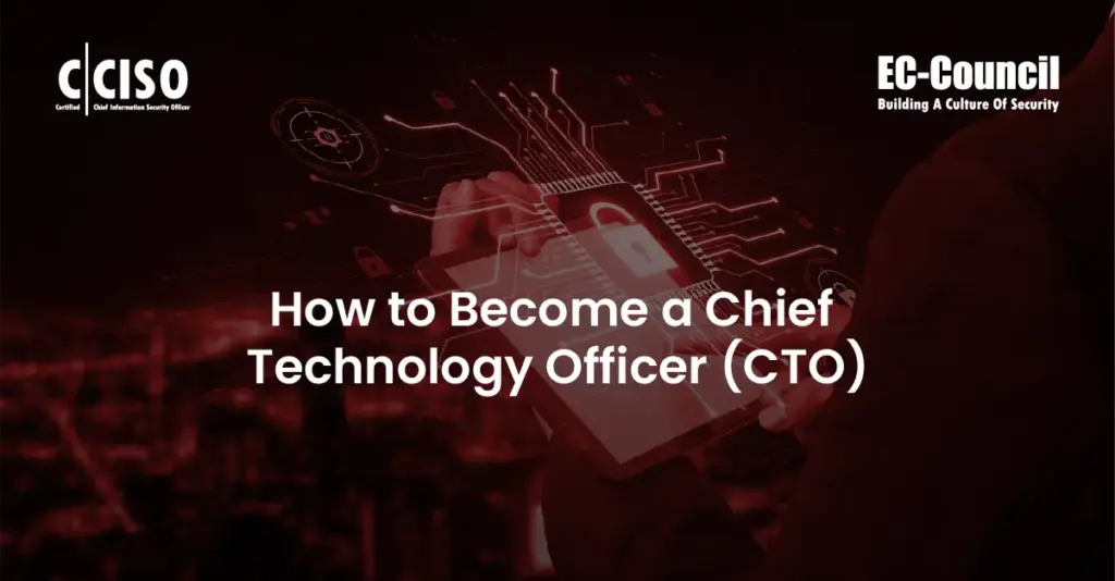 How to Become a Chief Technology Officer (CTO)