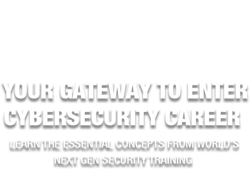 Final Quiz - Cybersecurity Essentials, PDF